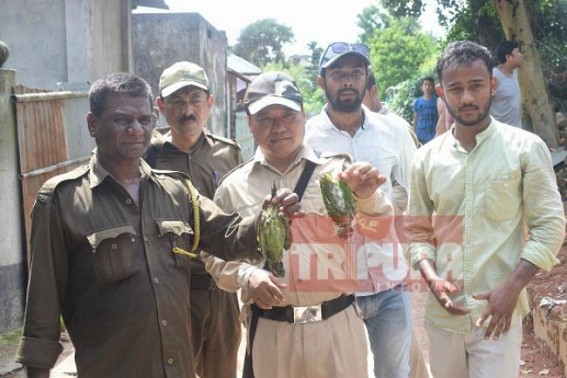 Forest Dept, NGO recovered illegally kept animals, birds from a house
